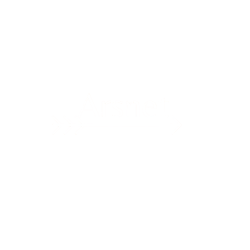 arsnet logo